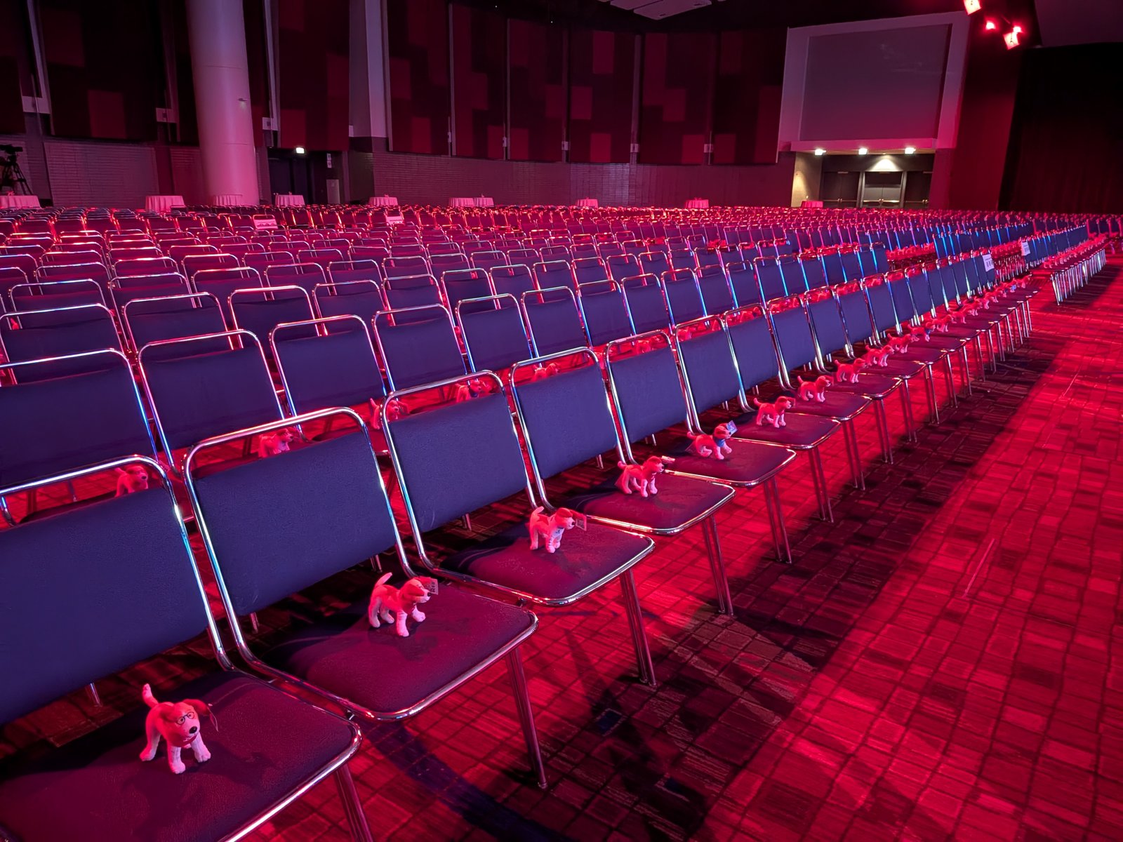 Rows of empty ballroom seats under red stage lighting, each with a small plush dog placed on it.